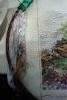 19.thumb.JPG.eeb007c5f3a0c7f296029ff00f0
