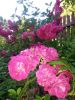 20160710_184359.jpg