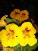 20160711_205336.jpg