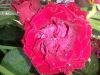 20160712_193824.jpg