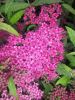 20160712_194527.jpg