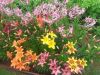 20160714_115115.jpg