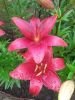 20160714_115142.jpg