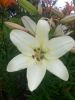 20160714_115201.jpg