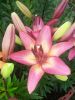 20160714_115301.jpg