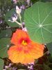 20160716_181920.jpg