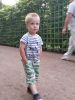 20160725_201953.jpg