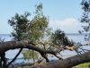 20160727_153223.jpg