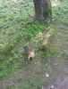 20160727_170302.jpg