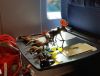 20160731_165528.jpg