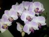 20160731_212240.jpg