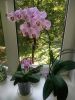 20160801_110006.jpg