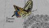 20160805_151149.jpg
