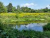 20160806_125028.jpg