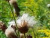 20160806_125238.jpg