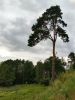 20160813_191703.jpg
