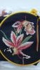 20160826_091227.thumb.jpg.1bb711fdbd58d3
