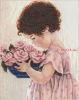 Dimensions 35031, Розы Ами (Розы Эми, Amy's Roses)