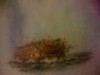 57ac279f00456_2.thumb.JPG.aa1a7de657ba11