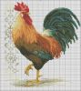 Схема петух 12.jpg
