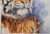 57b7f49aad0c7_5_17.08.16_.2.thumb.jpg.a9