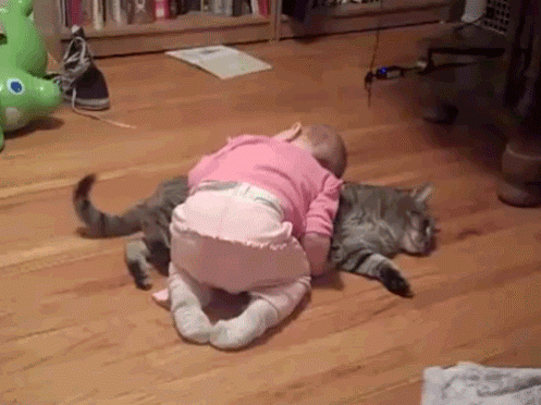 котик лечит.gif