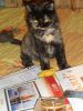 DSC00764.JPG