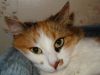 DSC01216_.jpg