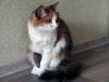 DSC01221_.jpg
