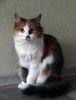 DSC01222_.jpg