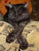 DSC01225_.jpg