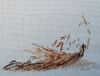 DSC01228_.jpg