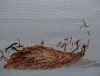 DSC01235_.jpg