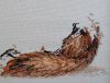 DSC01240_.jpg