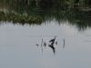 DSC01253_.jpg
