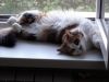 DSC01261_.jpg