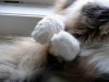 DSC01265_.jpg