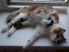 DSC01269_.jpg