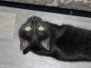 DSC01271_.jpg