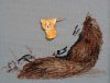 DSC01292_.jpg