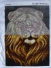 DSC02552.JPG