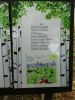 DSC02749.JPG