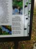 DSC02750.JPG