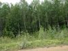DSC02891.JPG