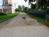 DSC02920.JPG