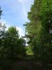 DSC02943.JPG