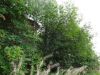 DSC02960.JPG