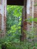 DSC02966.JPG