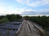 DSC02978.JPG