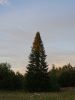 DSC02997.JPG